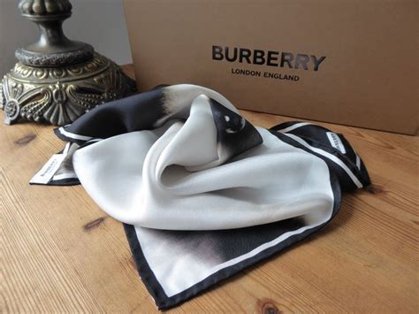 panda buy burberry|panda buy website.